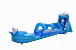 20Ft. Dolphin Waterslide & Slip n Slide